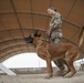 386th ESFS demonstrates K-9 capability at MWD Expo