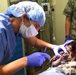 Dental visit