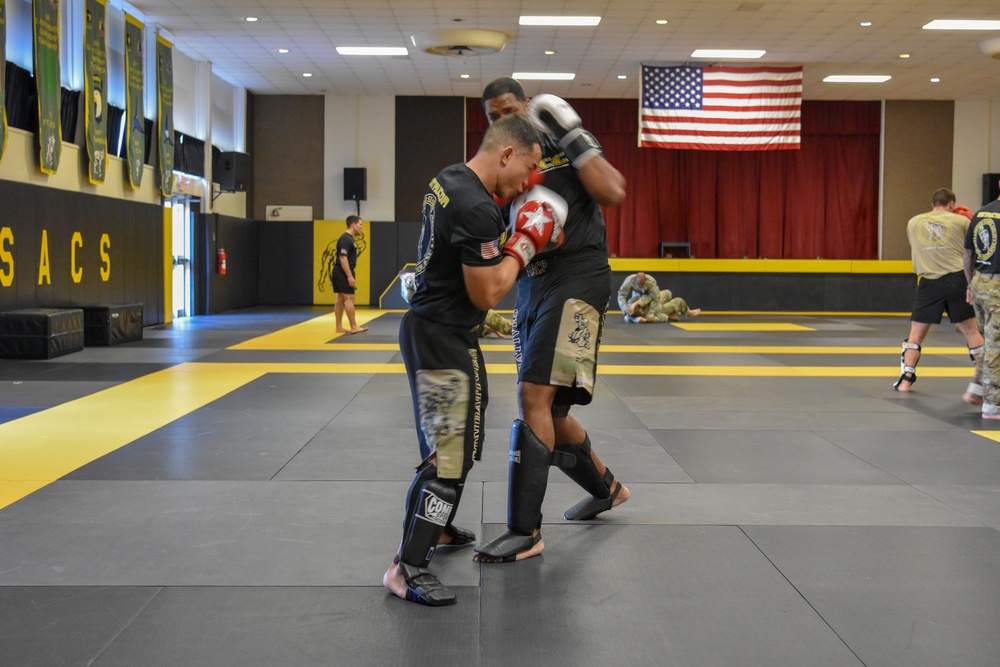 U.S. Army Combatives