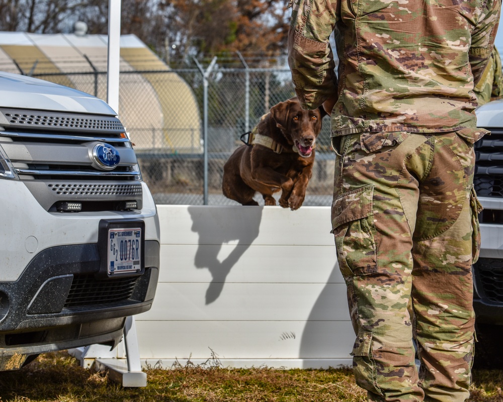 U.S. Army K9 and Military Police