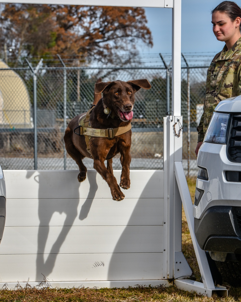 U.S. Army K9 and Military Police