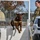 U.S. Army K9 and Military Police U.S. Army K9 and Military Police