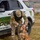 U.S. Army K9 and Military Police U.S. Army K9 and Military Police