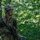 July 7, 2018 Field Training Exercise at West Point