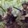 July 7, 2018 Field Training Exercise at West Point