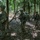 July 7, 2018 Field Training Exercise at West Point