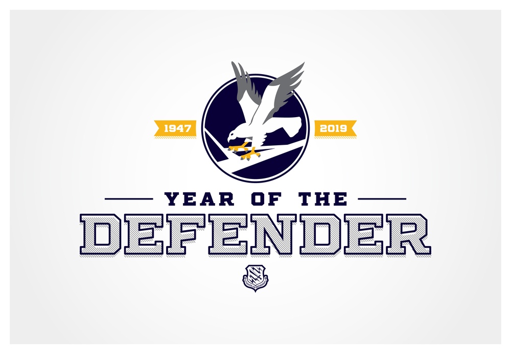 21st Space Wing Year of the Defender Graphic