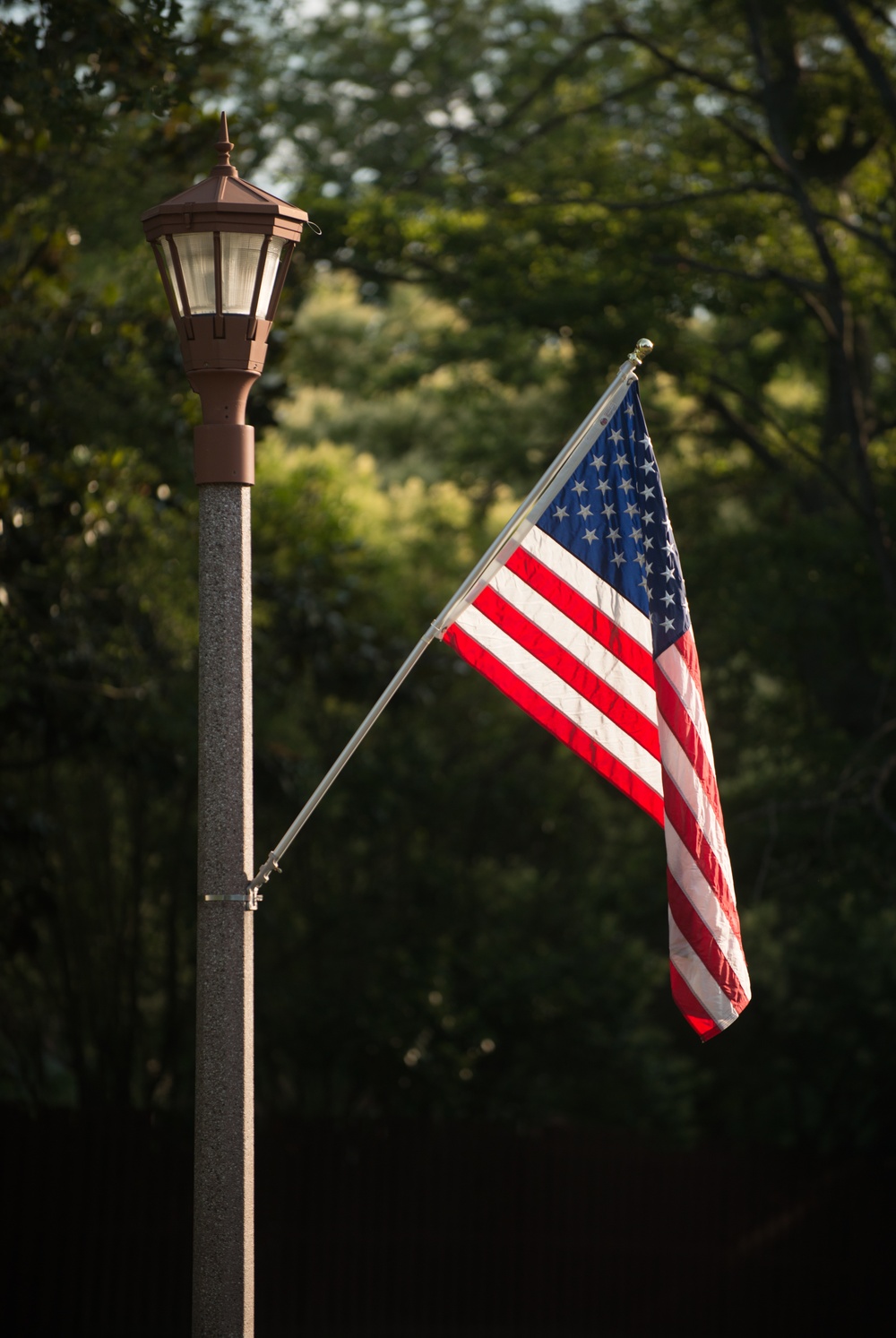 Flag Day on JBLE 2018