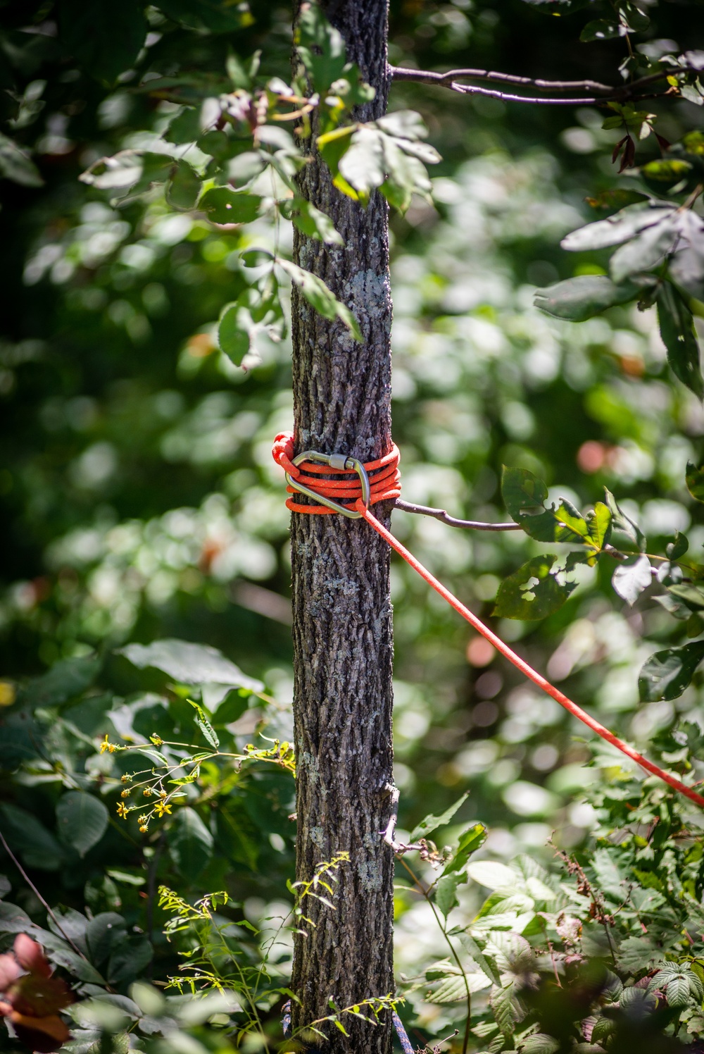 Soldiers Participate in Rope Rescue Course