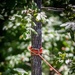 Soldiers Participate in Rope Rescue Course