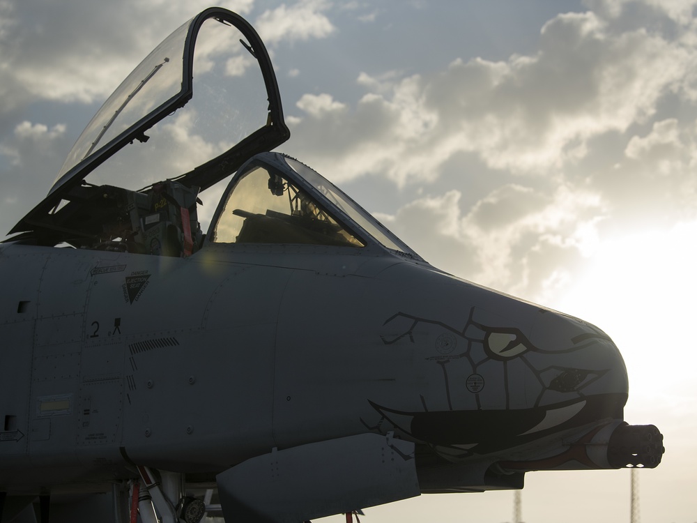 Brrrt: MacDill supports Guardian Blitz Exercise