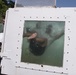 Dunked!