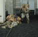 Weapons Company Marines refine fast rope fundamentals