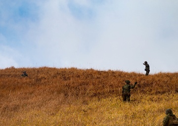 Comprehensive event during Forest Light 19.1