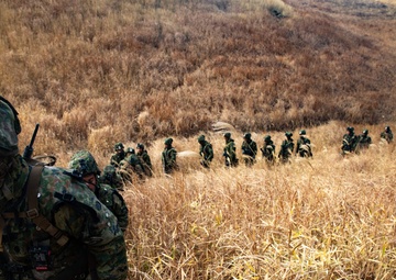 Comprehensive event during Forest Light 19.1