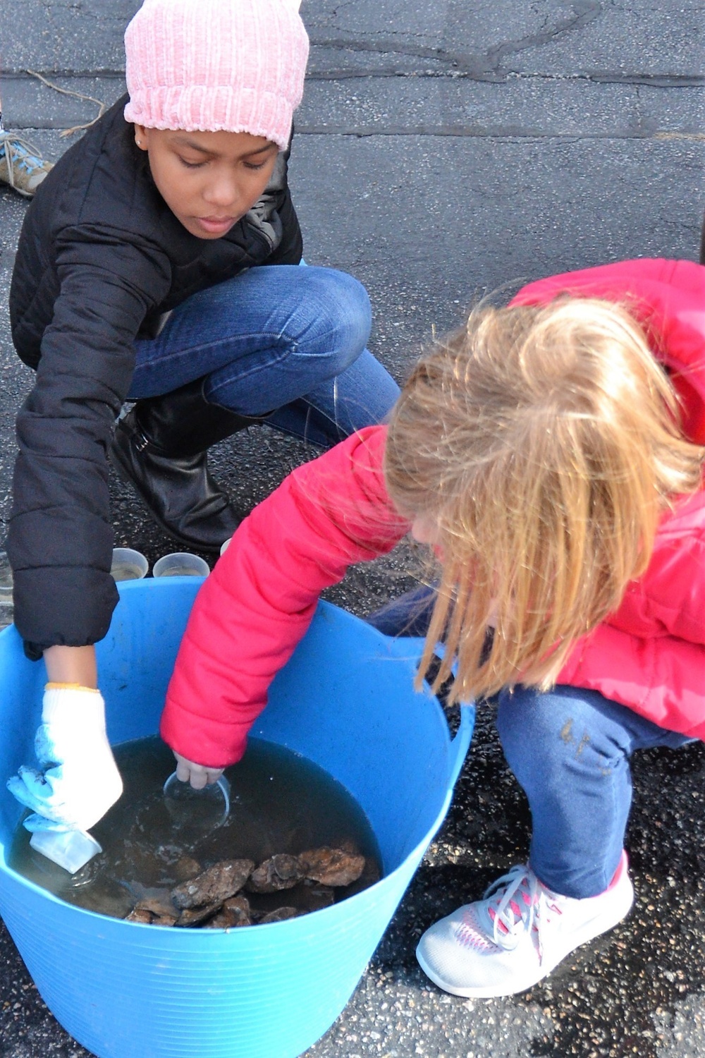 USACE Norfolk saves oysters, serves up STEM lesson