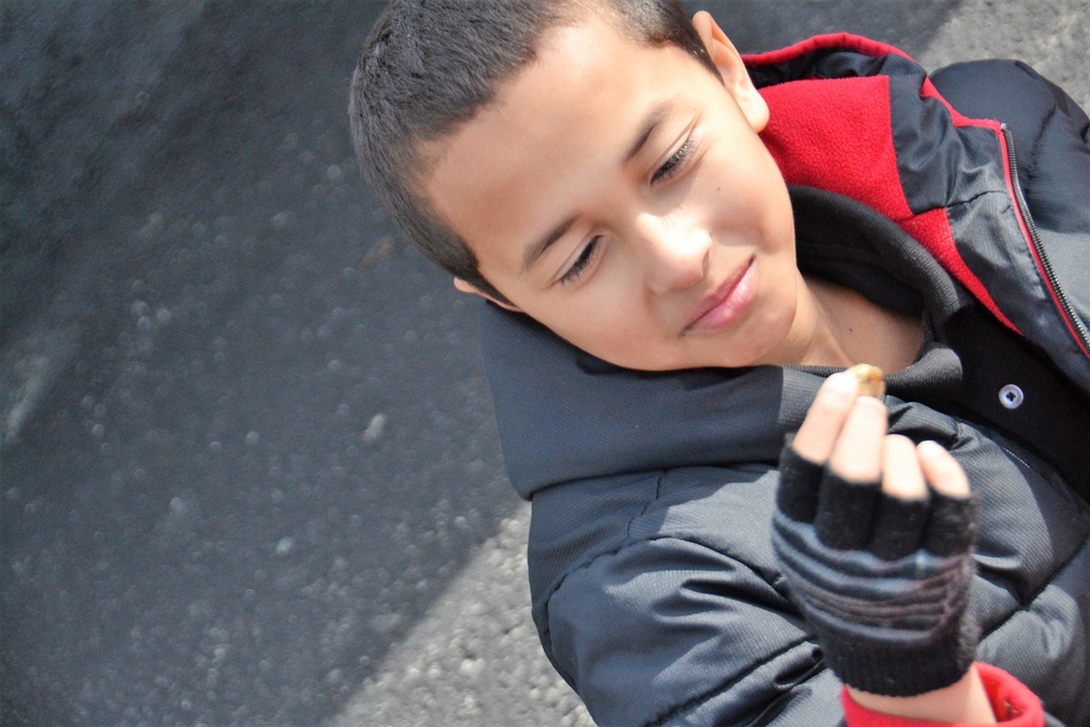 USACE Norfolk saves oysters, serves up STEM lesson