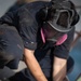 U.S. Sailor sands on the fantail
