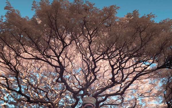 New Year, New Disinterment