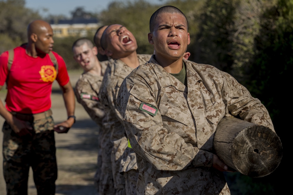 Charlie Company Log Drills