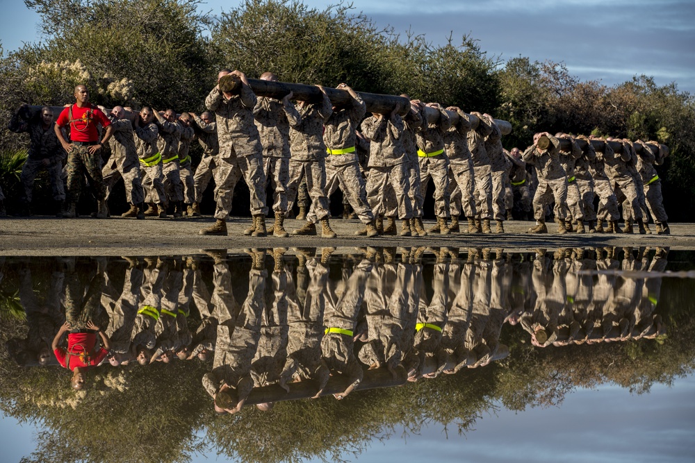 Charlie Company Log Drills