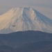 Fuji Flight