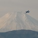 Fuji Flight