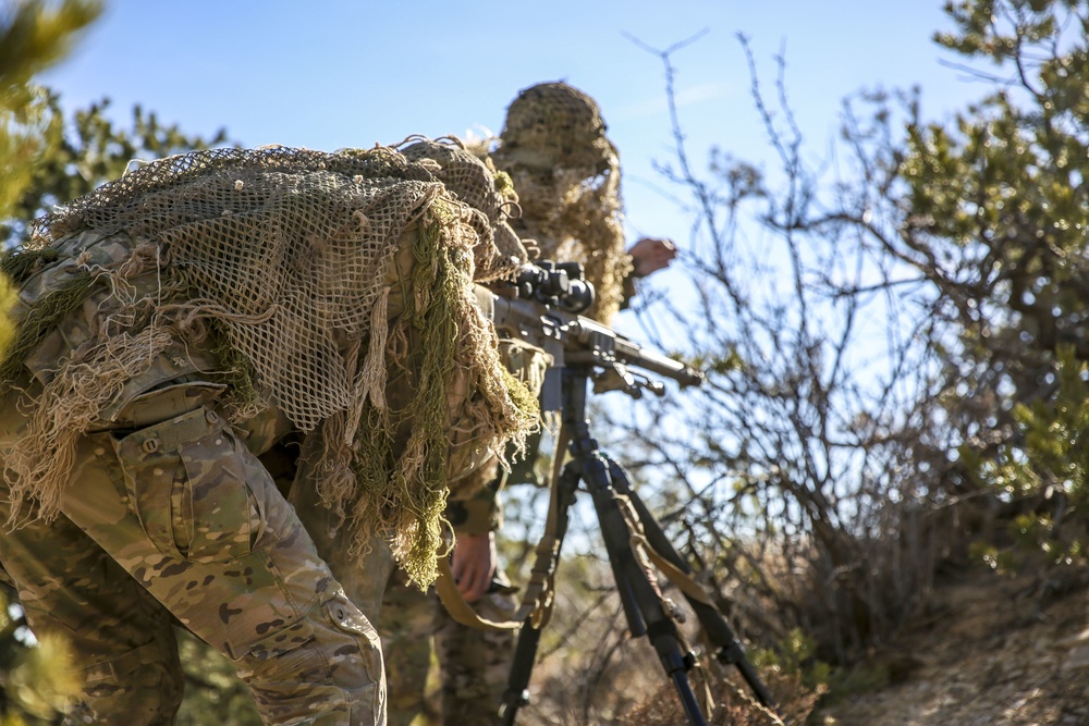 Sniper Training