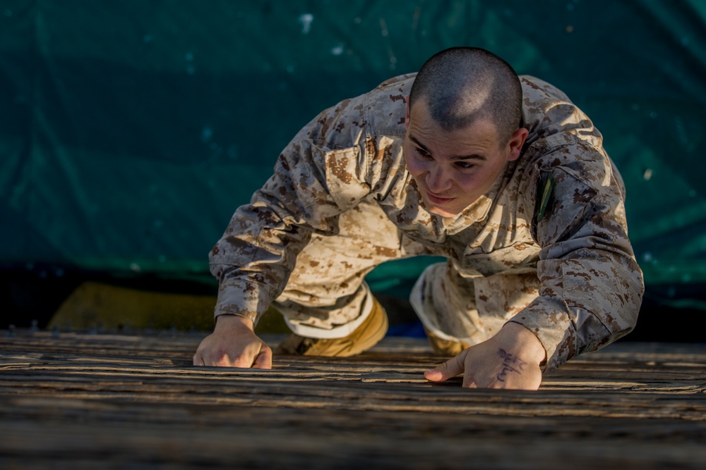 Fox Company Confidence Course