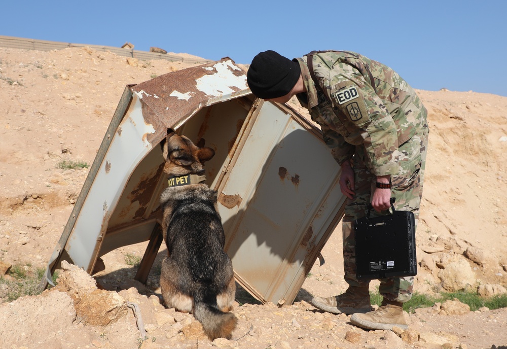 Canine Training in Al Qaim