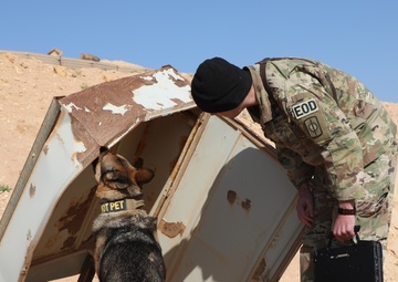 Canine Training in Al Qaim