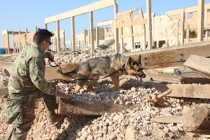Radio News: VOCALIS: Providing Iraqi Security Forces the Tools for Information Operations