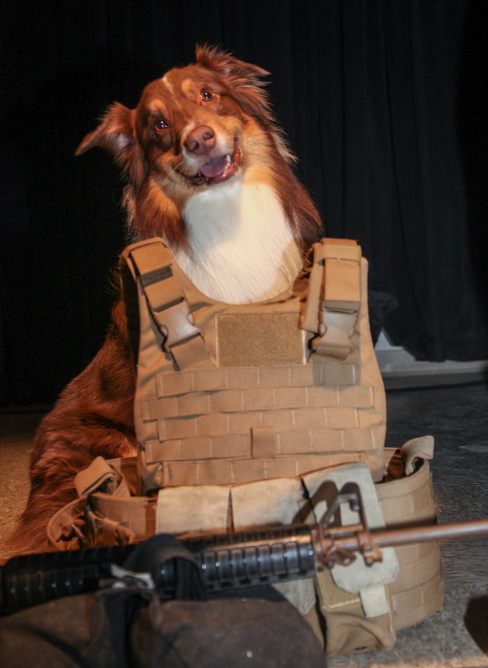 Marine Corps Air Station Cherry Point celebrates National Dress Your Pet Day