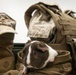 Marine Corps Air Station Cherry Point celebrates National Dress Your Pet Day