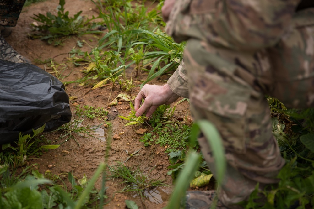 Syrian Democratic Forces Share Harvest With Coalition Forces
