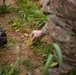 Syrian Democratic Forces Share Harvest With Coalition Forces