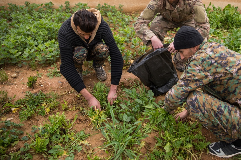 Syrian Democratic Forces Share Harvest With Coalition Forces