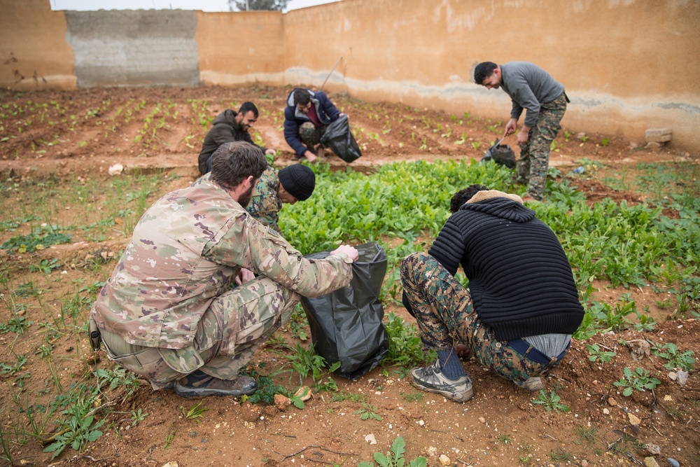 Syrian Democratic Forces Share Harvest With Coalition Forces