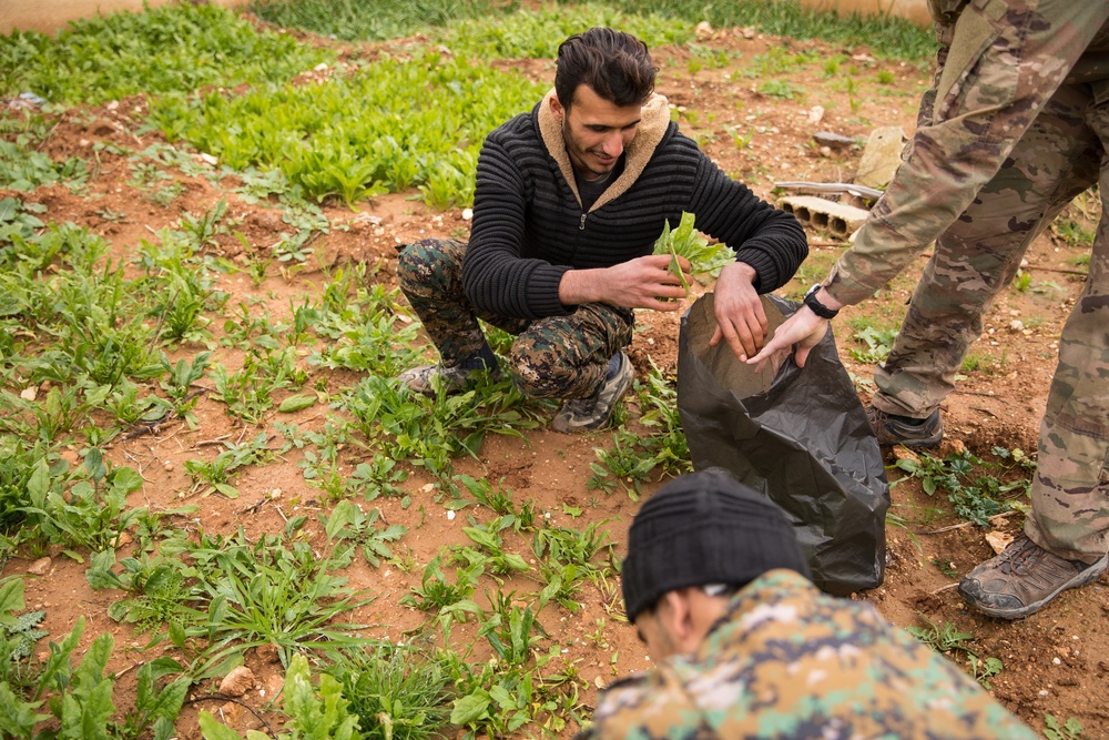 Syrian Democratic Forces Share Harvest With Coalition Forces