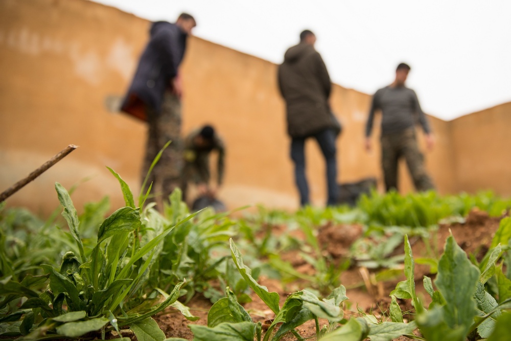 Syrian Democratic Forces Share Harvest With Coalition Forces