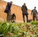 Syrian Democratic Forces Share Harvest With Coalition Forces