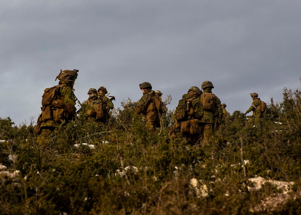 Combined Arms Live-fire Training Exercise (CALFEX) at ATG 2019