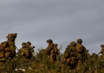 Combined Arms Live-fire Training Exercise (CALFEX) at ATG 2019