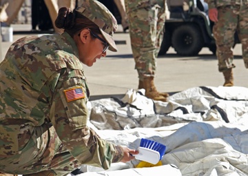 Growth and evolution for the 420th Engineer Brigade