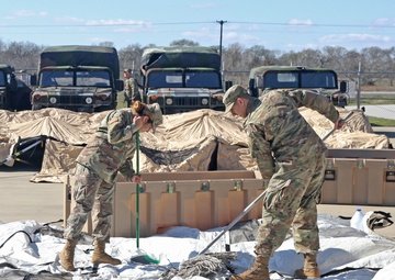Growth and evolution for the 420th Engineer Brigade