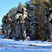 Cold-Weather Operations Course Class 19-02 Snowshoe Training/Familiarization