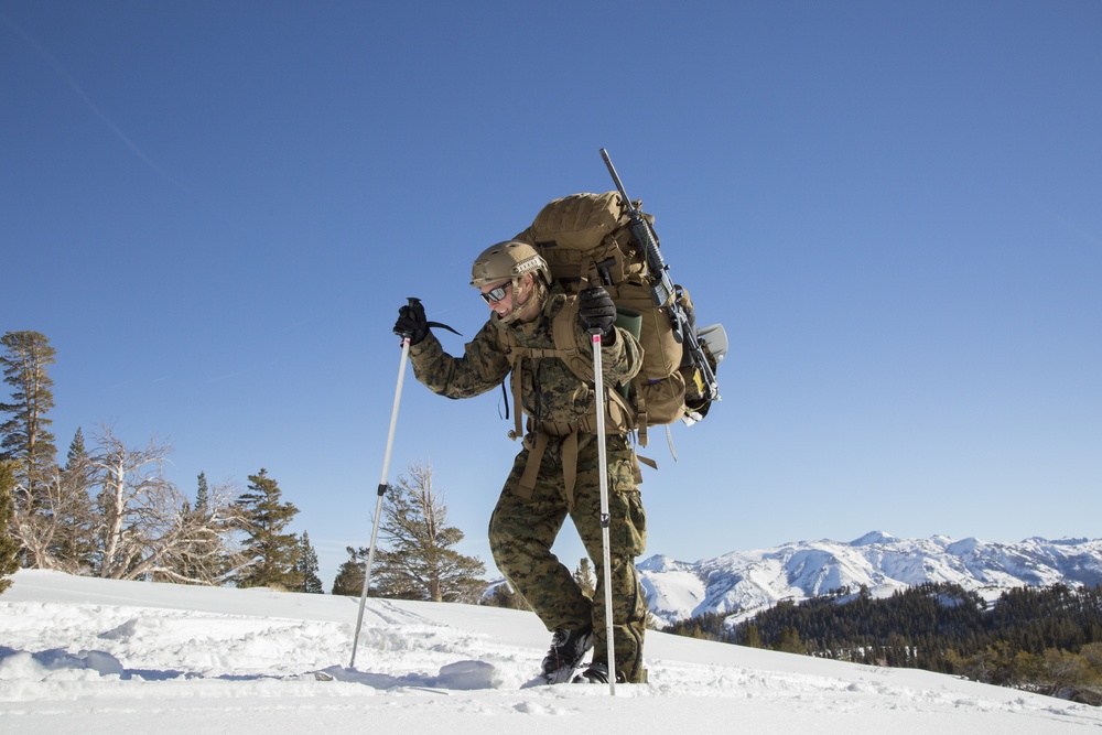 Winter Mountain Leaders Course