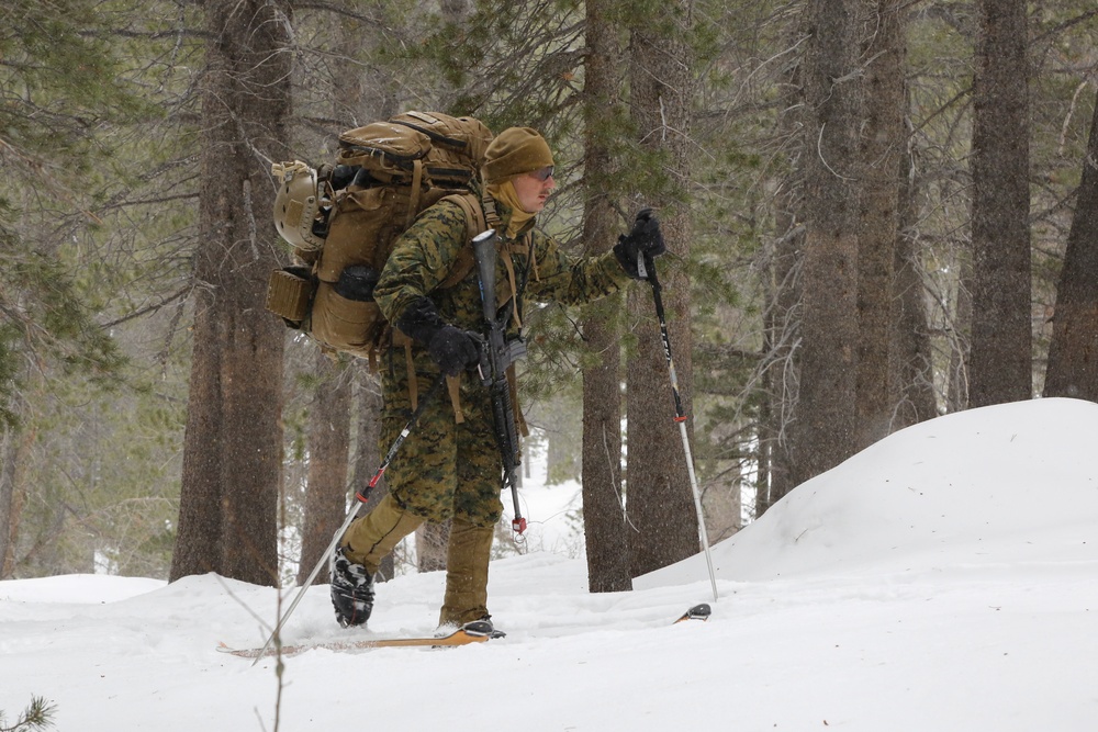 Winter Mountain Leaders Course