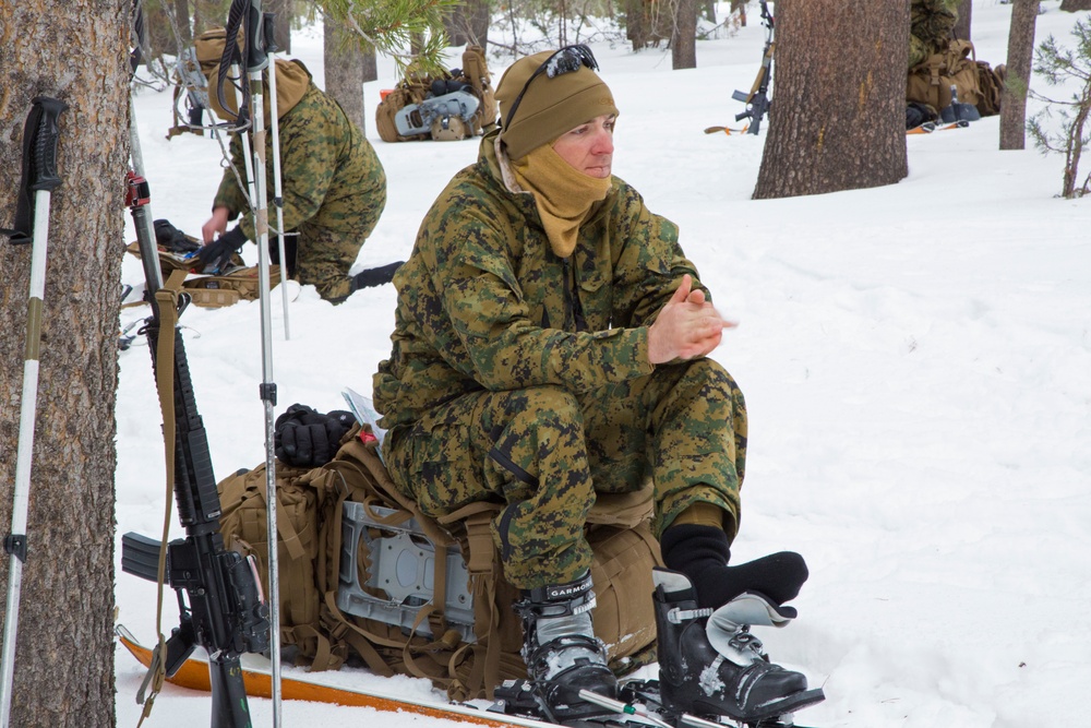 Winter Mountain Leaders Course