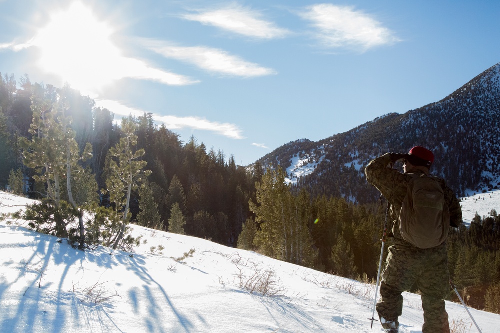 Winter Mountain Leaders Course